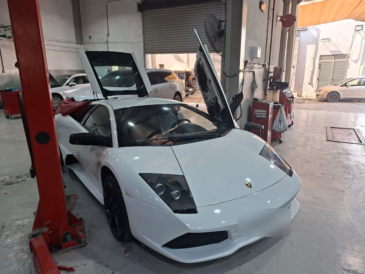 White Lamborghini service inspection